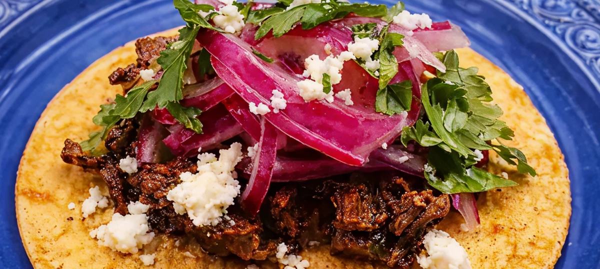 Mexican taco on blue plate